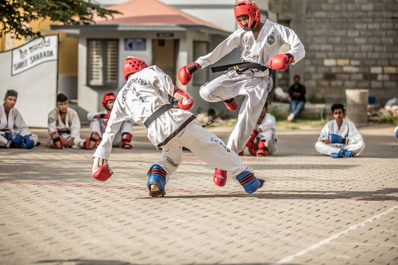 Taekwondo Fight